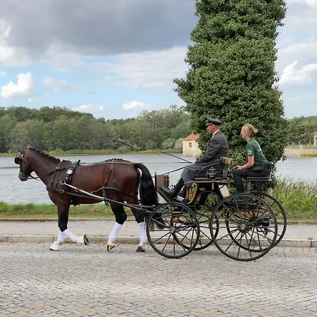 Schlossblick 3* Moritzburg